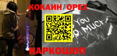 прущие грибы Кандалакша
