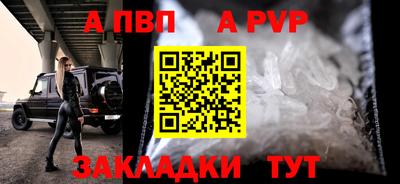 прущие грибы Кандалакша