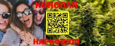 гидра Камышлов