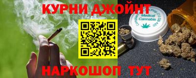 гидра Камышлов