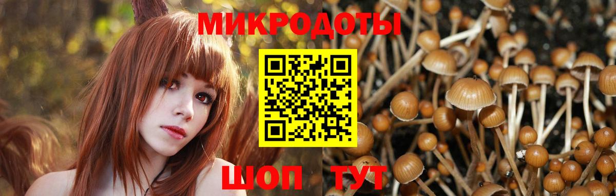 Псилоцибиновые грибы Magic Shrooms Коммунар