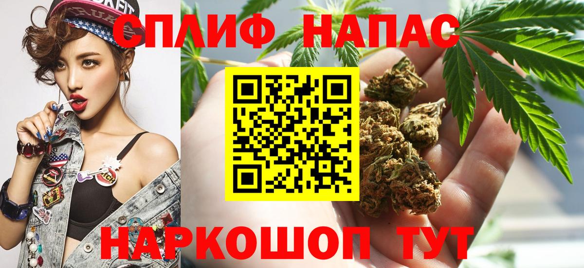 Бошки Шишки сатива Коммунар